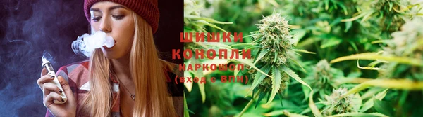 а пвп мука Богданович