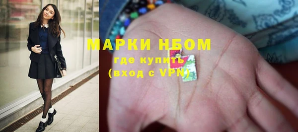 твердый Пересвет