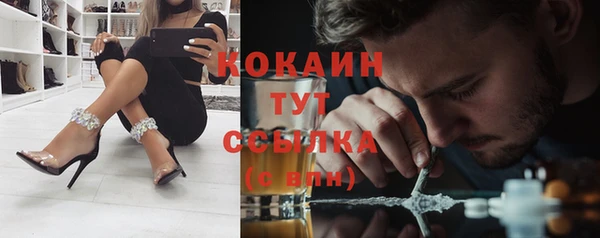 твердый Пересвет